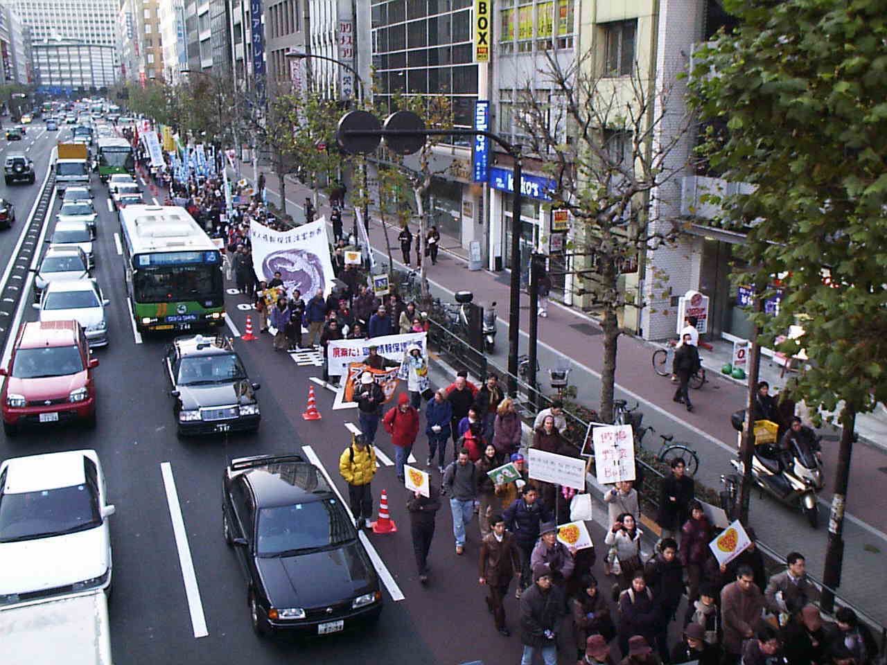 �ʐ^�F�f����